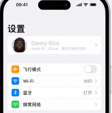 合水appleID维修服务iPhone设置中Apple ID显示为灰色无法使用 