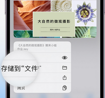 合水apple维修中心分享iPhone文件应用中存储和找到下载文件