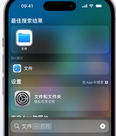 合水apple维修中心分享iPhone文件应用中存储和找到下载文件 