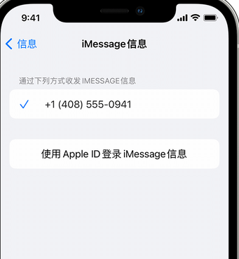 合水apple维修iPhone上无法正常发送iMessage信息 