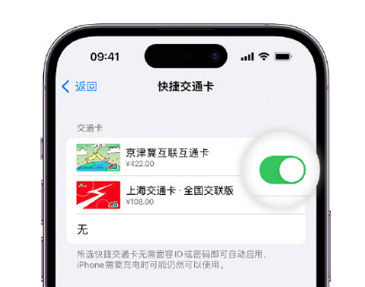 合水apple维修点分享iPhone上更换Apple Pay快捷交通卡手绘卡面 