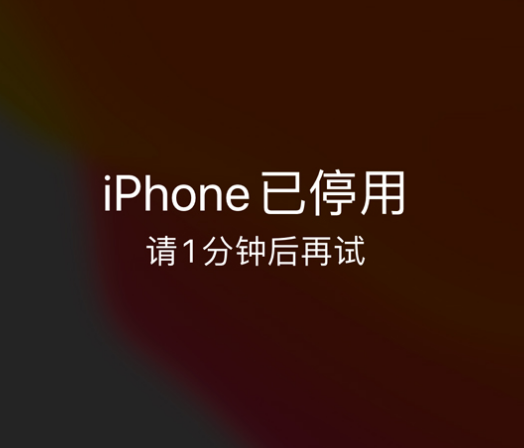 合水苹果手机维修分享:iPhone 显示“不可用”或“已停用”怎么办？还能保留数据吗？ 