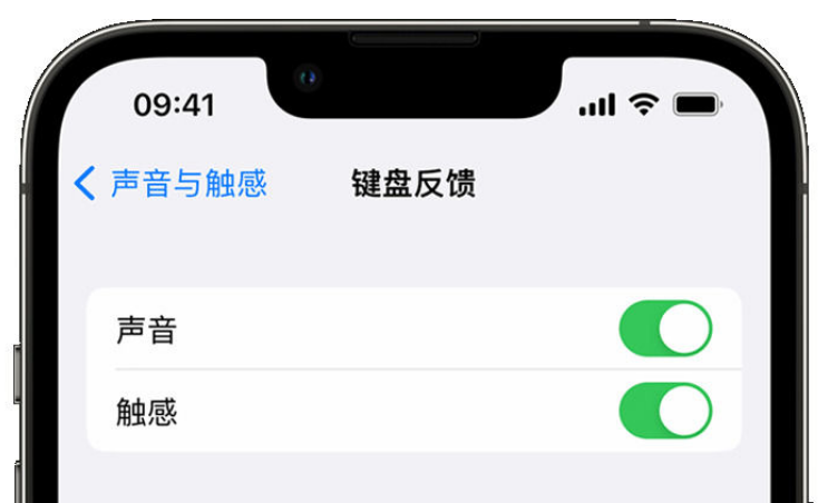 合水苹果手机维修分享iPhone 14触感键盘使用方法 