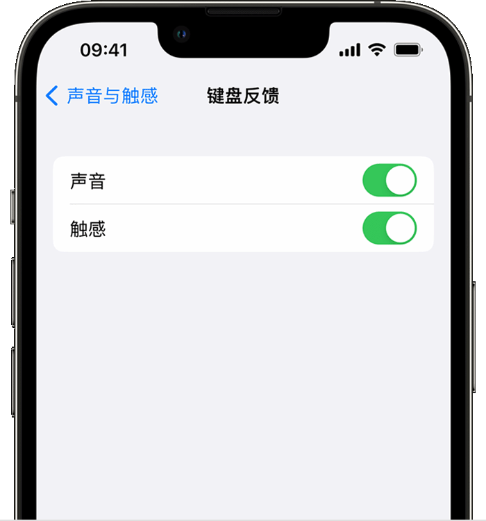 合水苹果14维修店分享如何在 iPhone 14 机型中使用触感键盘 