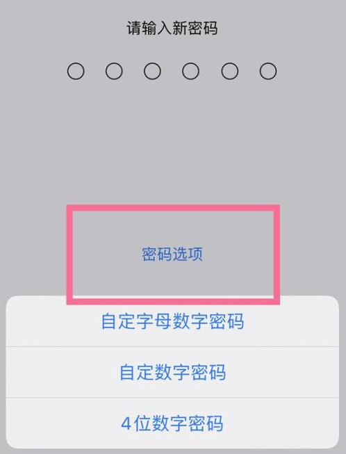 合水苹果14维修分享iPhone 14plus设置密码的方法 