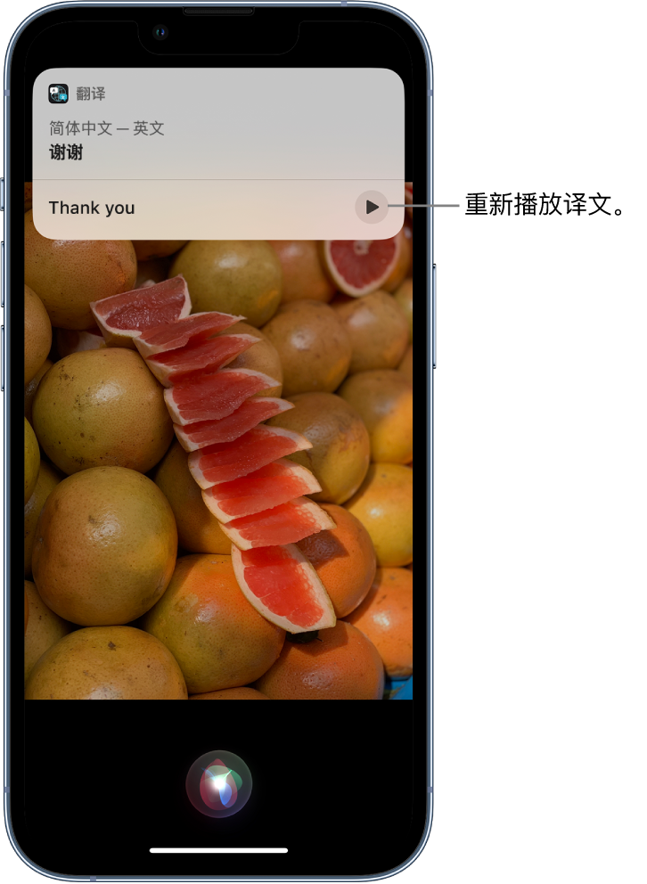 合水苹果14维修分享 iPhone 14 机型中使用 Siri：了解 Siri 能帮你做什么 