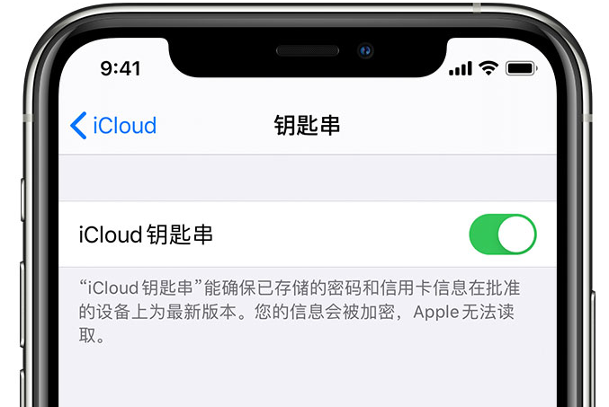 合水苹果手机维修分享在 iPhone 上开启 iCloud 钥匙串之后会储存哪些信息 