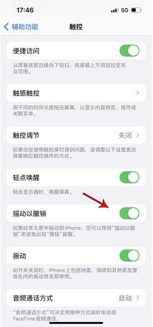 合水苹果手机维修分享iPhone手机如何设置摇一摇删除文字 